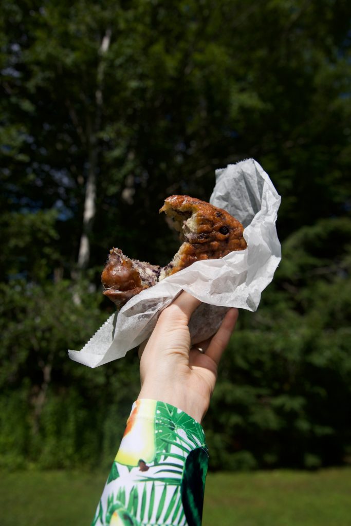 Congdon's-Donuts-Best-Blueberry-Fritter-Molly-Beauchemin-Grace&Lightness