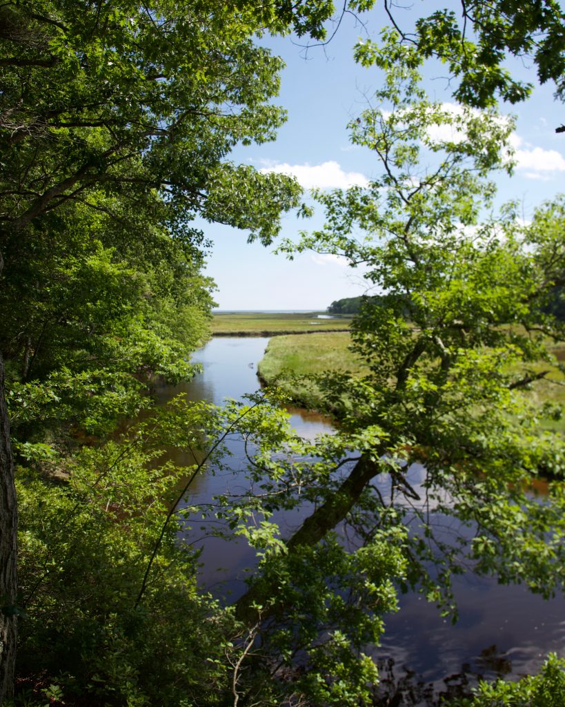 Rachel-Carson-Refuge-Kennebunkport_(c)_Grace & Lightness Magazine