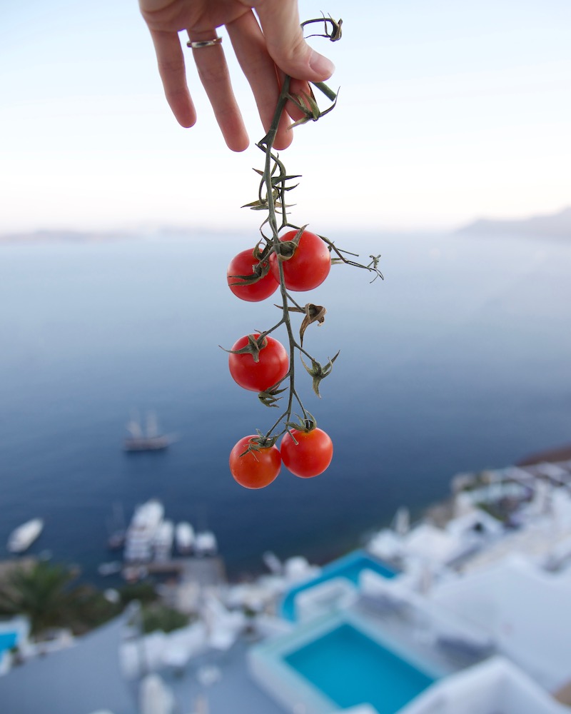 santorini-greece-cherry-tomatoes