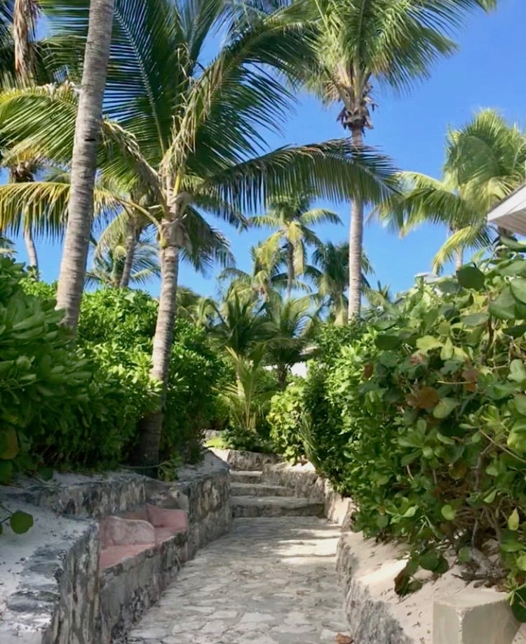 palm-tree-alley_coral-sands-beach-club_harbour-island