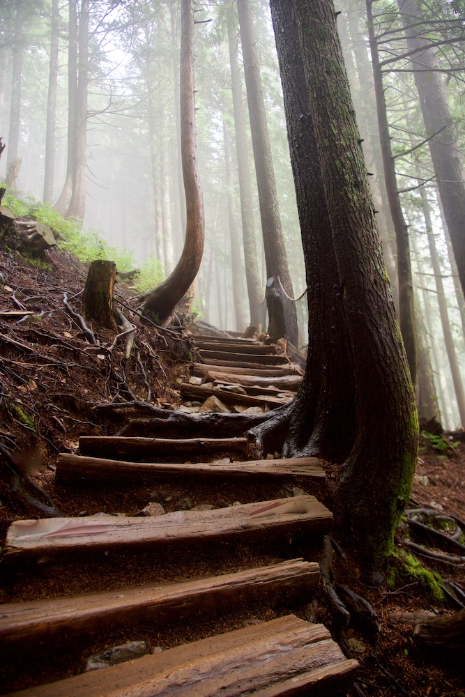 best-hikes-in-vancouver_vancouver-travel-guide