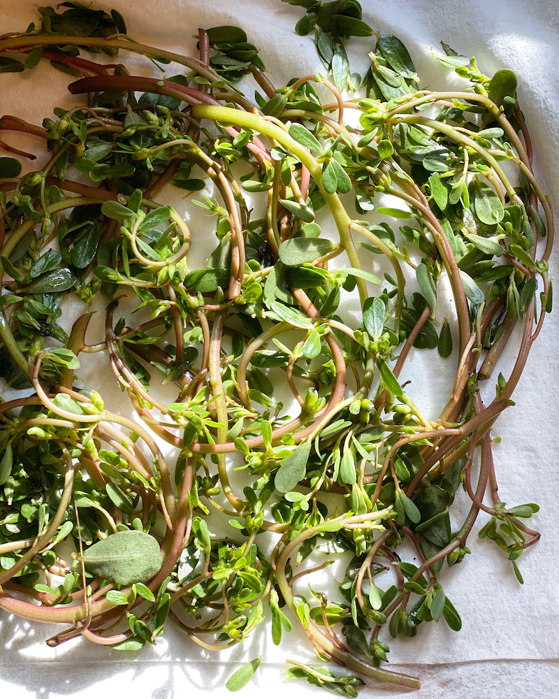 purslane for sleep