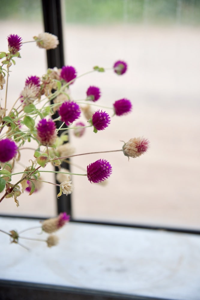 santa-fe-greenhouse-blooms