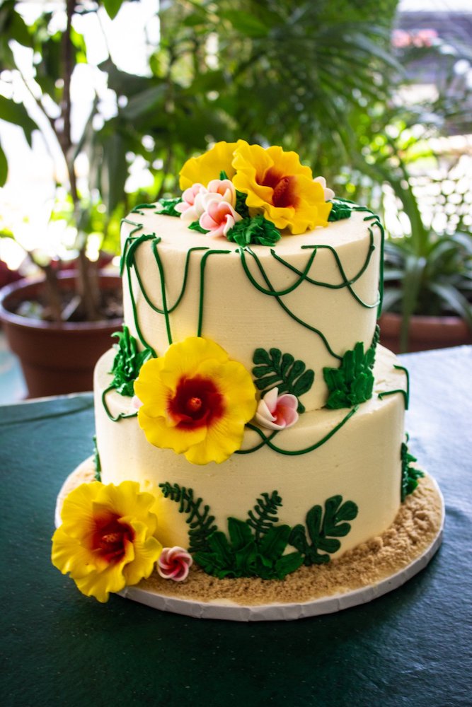 gluten free wedding cakes austin