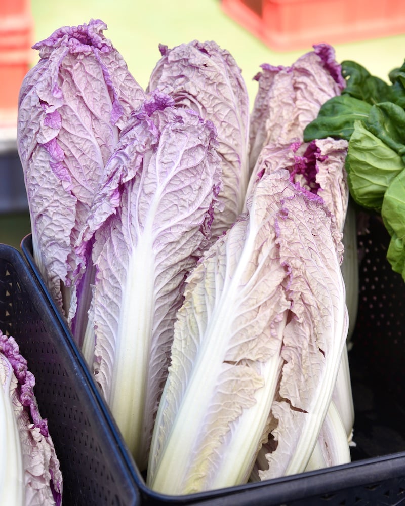 purple endive