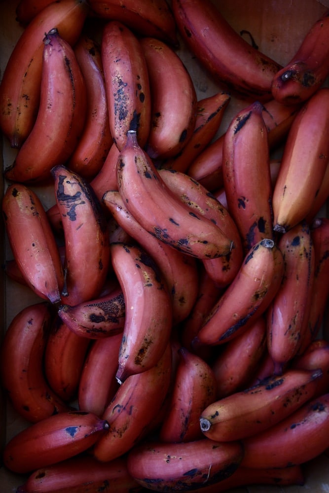 big island hawaii farmers markets