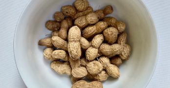 how to roast fresh raw peanuts - dig your own virginia peanuts