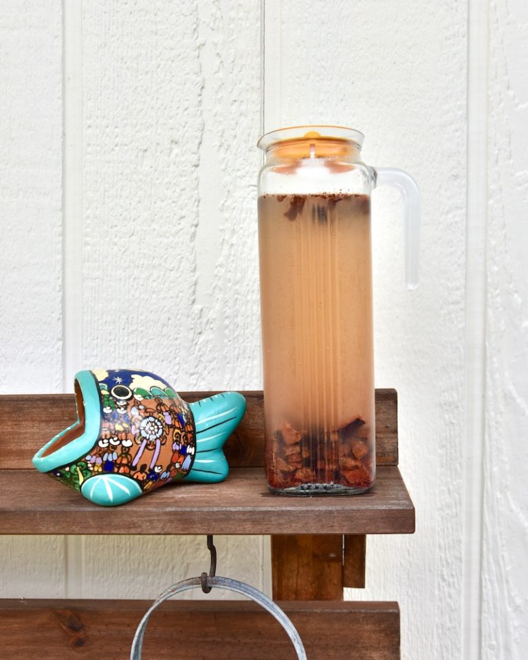 How to Make Mangosteen Juice (aka Santol-ade) - Grace & Lightness Magazine