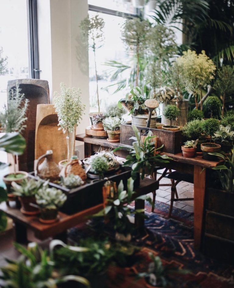 The 10 Best Flower + Plant Shops in NYC Grace & Lightness Magazine