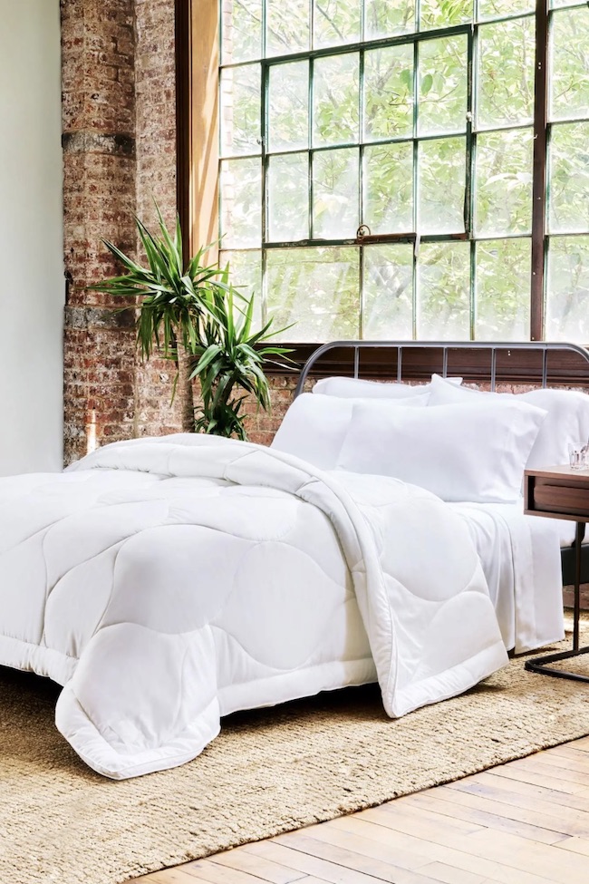 The 5 Best EcoFriendly Down Alternative Comforters of 2024 Grace