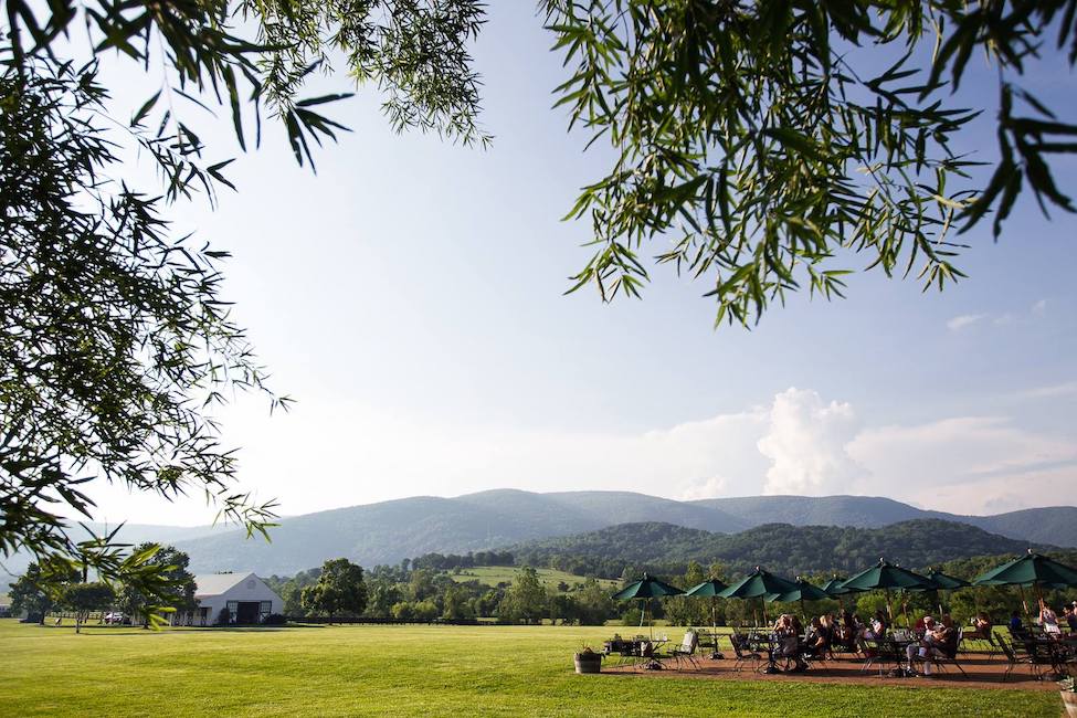 vineyards-charlottesville-virginia