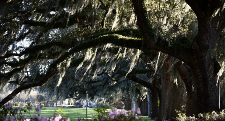 savannah-georgia-(c)-molly-beauchemin