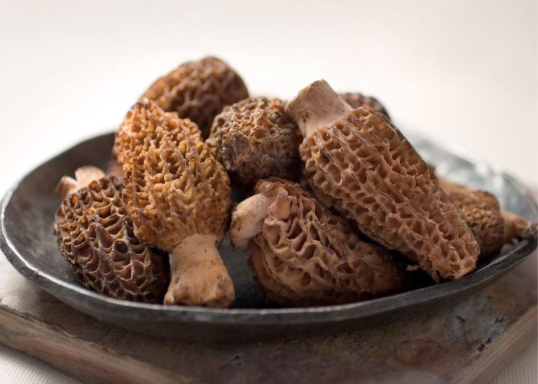 An Insider's Guide to Portland, Oregon (10 MustDo Activities) Grace