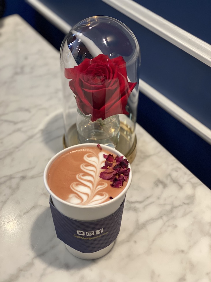 cherry-blossom-latte-georgetown-dc
