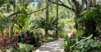 botanical-garden-orlando-florida