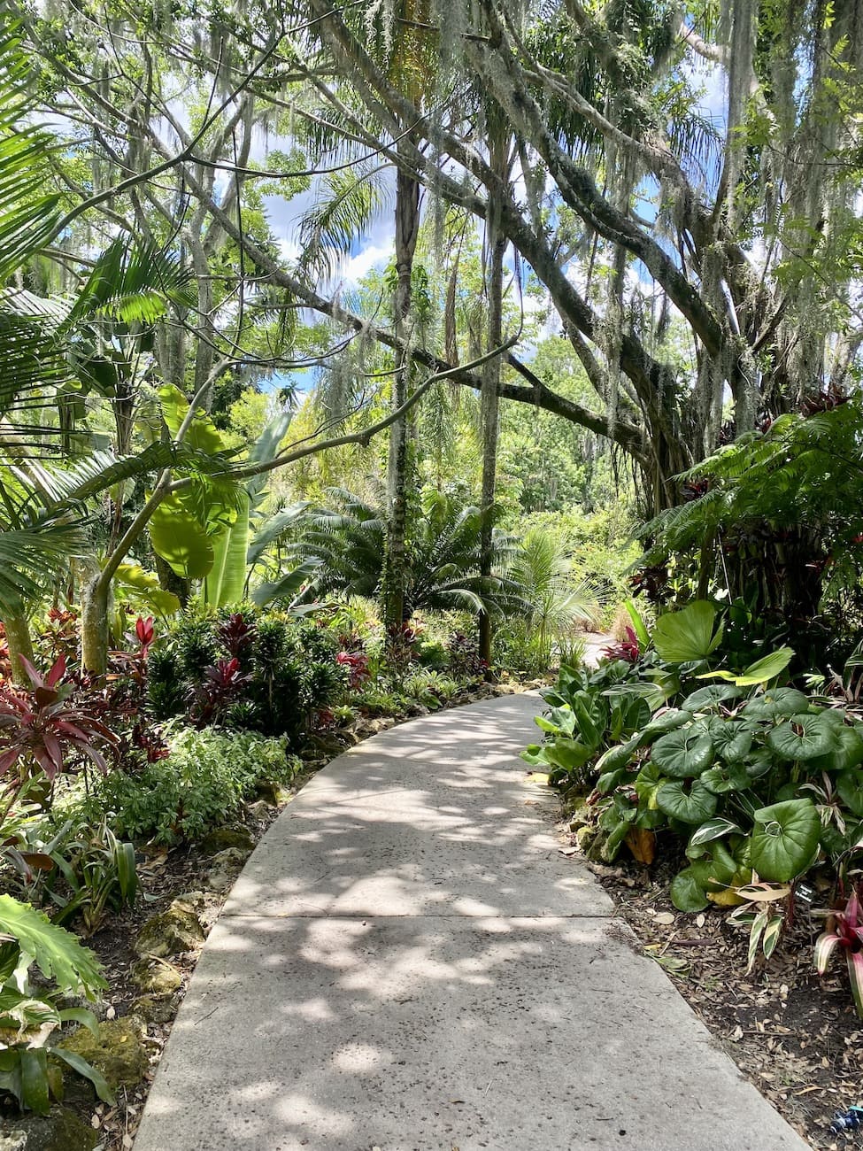 botanical-garden-orlando-florida