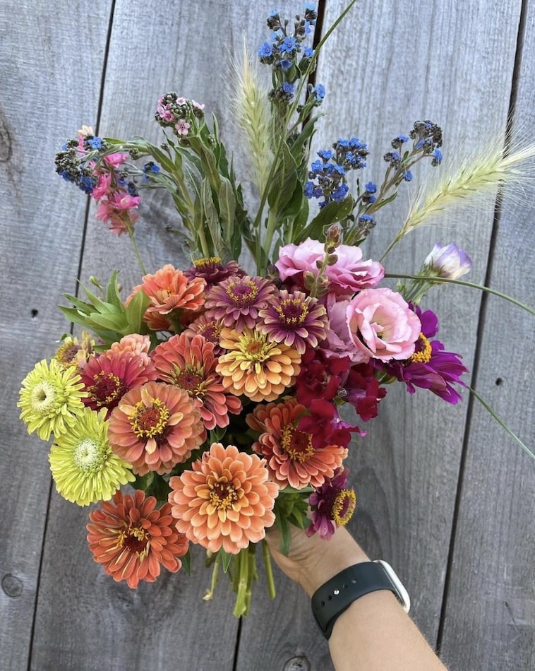 flower-farm-cumberland-maine