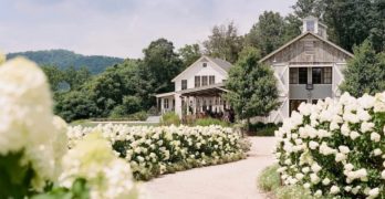 wine tasting charlottesville virginia