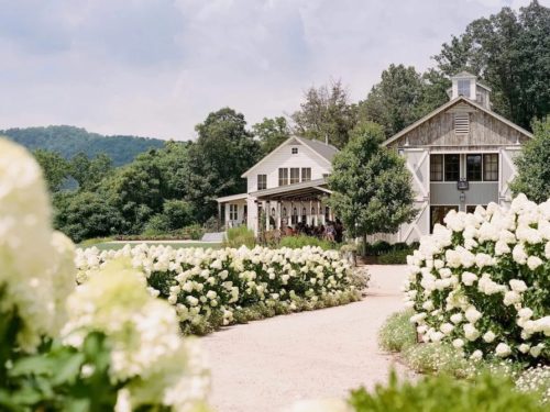 wine tasting charlottesville virginia