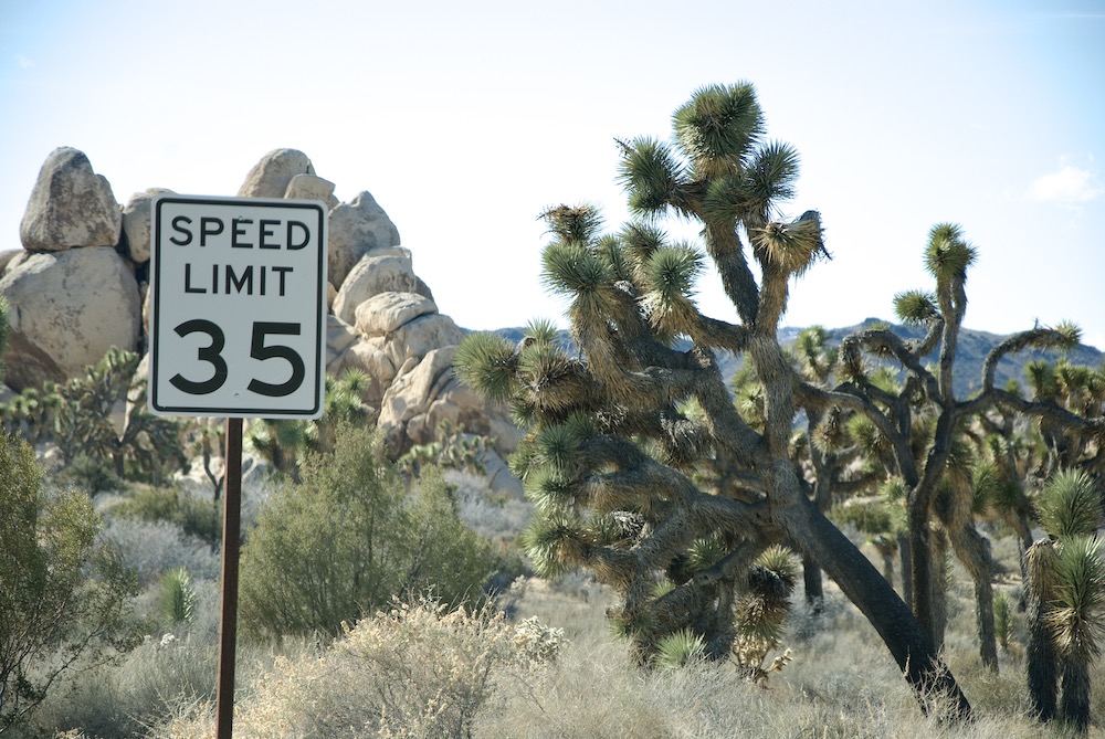 joshua-tree-california