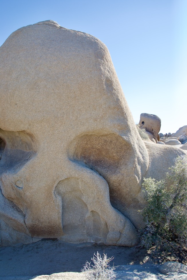 skull-rock-joshua-tree-national-park