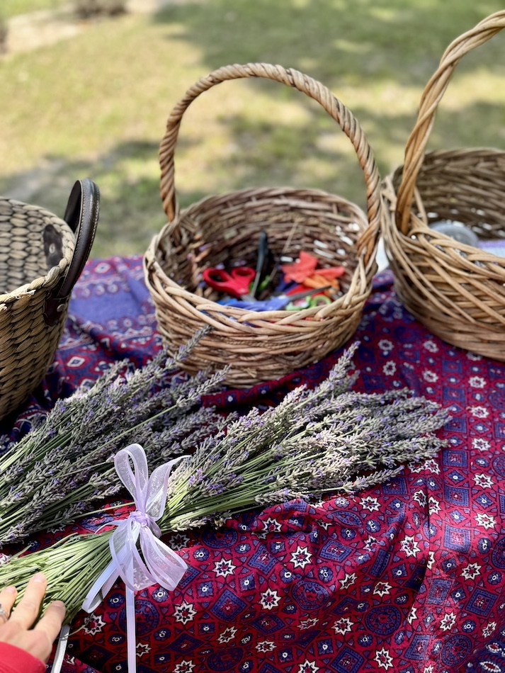 pick your own lavendar farm maryland