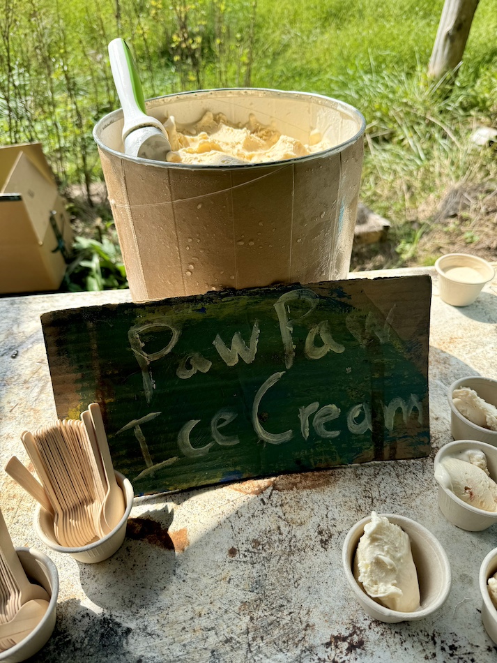 paw paw ice cream