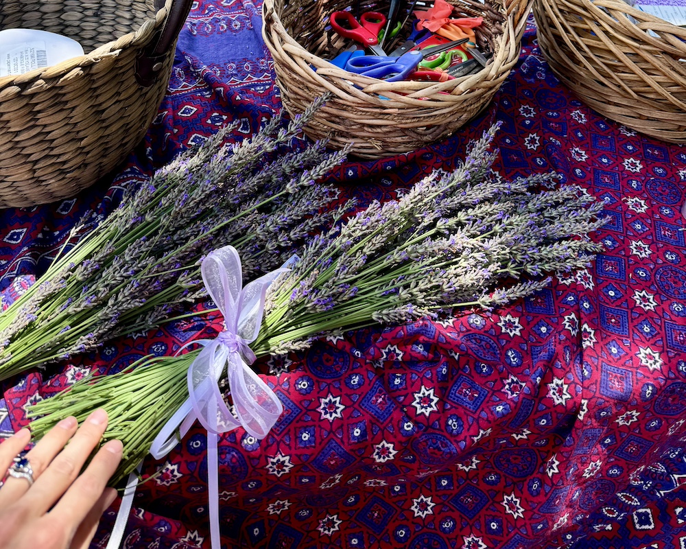 lavender farm maryland