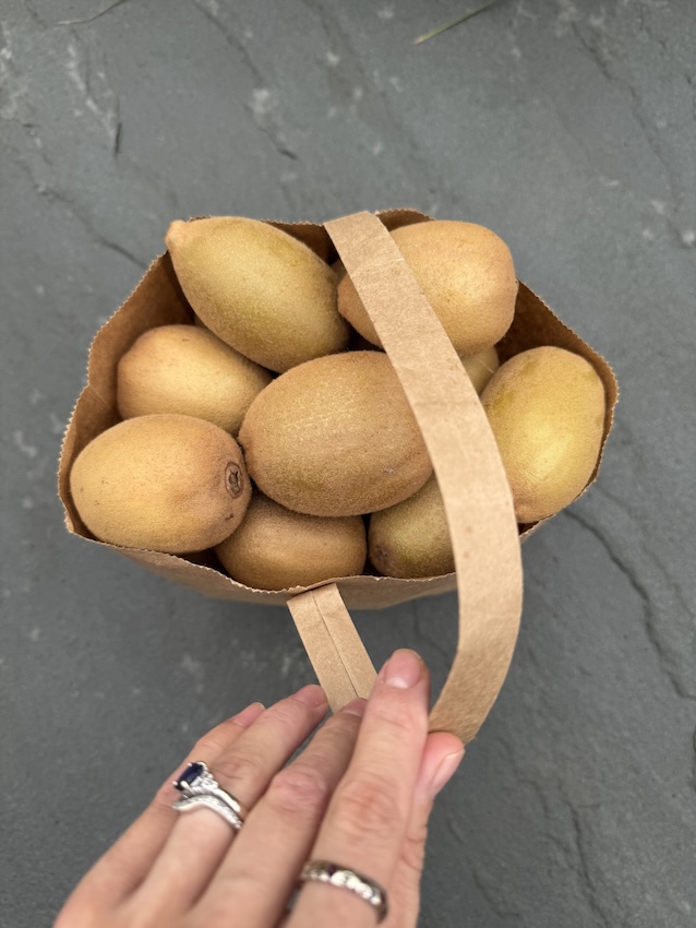 kiwi picking virginia golden kiwi