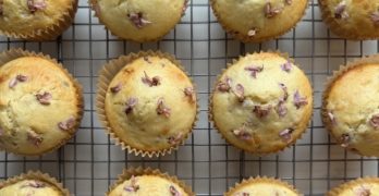 redbud flower muffin recipe