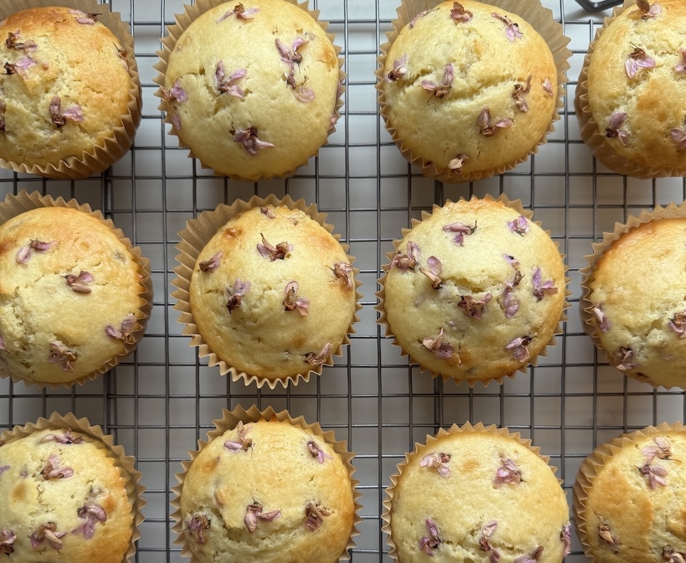 redbud flower muffin recipe