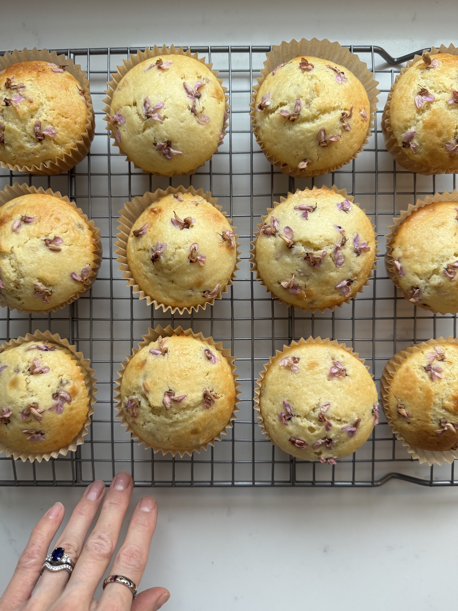 redbud muffin recipe