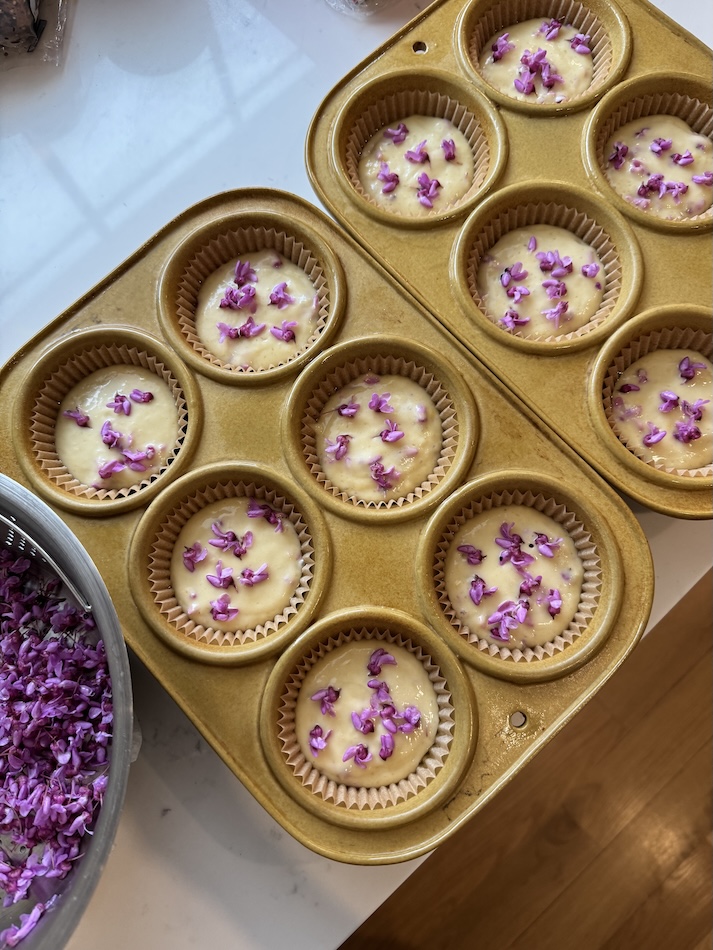 redbud flower muffin recipe