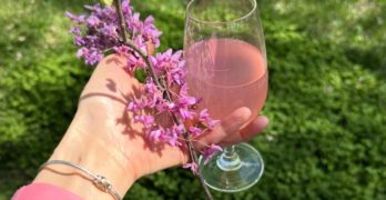 redbud pink lemonade recipe