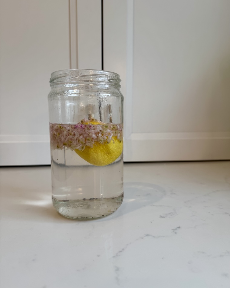 color changing redbud lemonade 